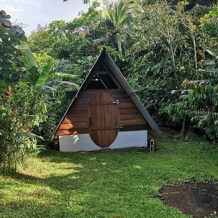 Cabana Chalet Cariari  Luaran gambar